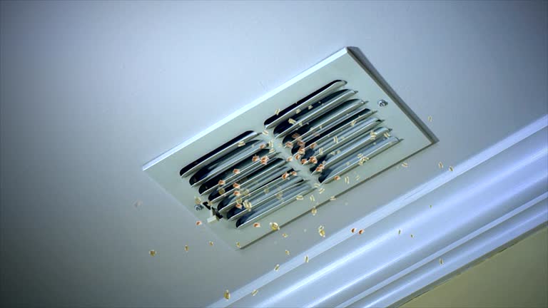 Best Residential Air Duct Cleaning  in Rustburg, VA